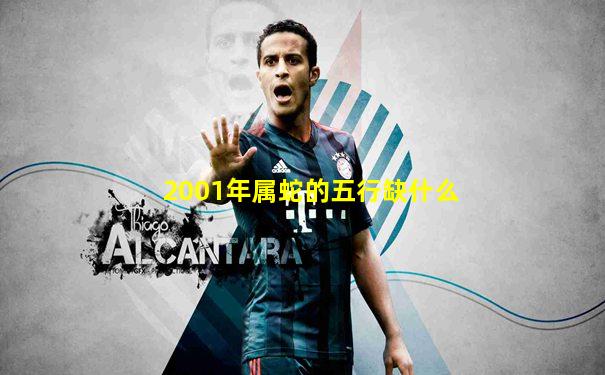 2001年属蛇的五行缺什么