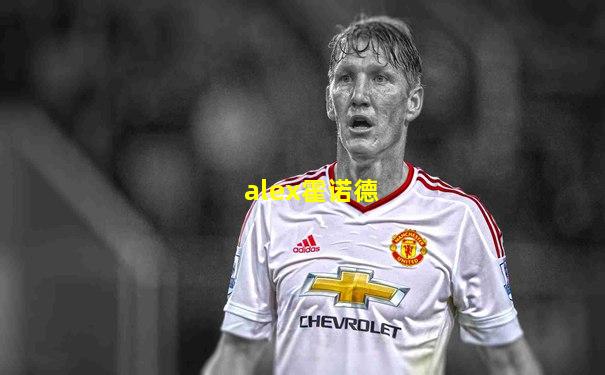 alex霍诺德