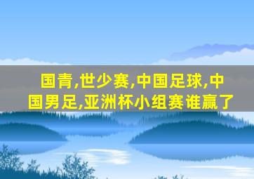 国青,世少赛,中国足球,中国男足,亚洲杯小组赛谁赢了