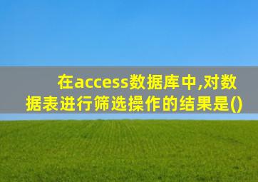 在access数据库中,对数据表进行筛选操作的结果是()