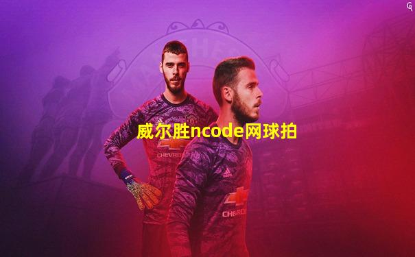 威尔胜ncode网球拍