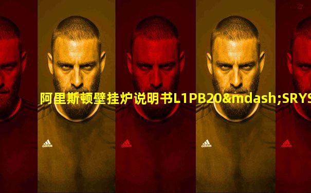 阿里斯顿壁挂炉说明书L1PB20—SRYSTL18