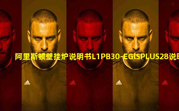 阿里斯顿壁挂炉说明书L1PB30-EGlSPLUS28说明书