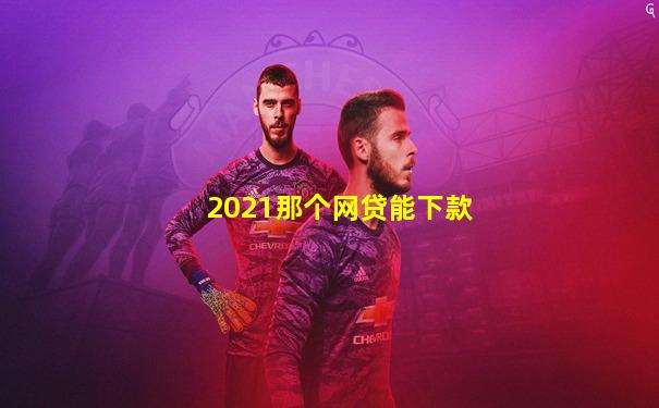 2021那个网贷能下款