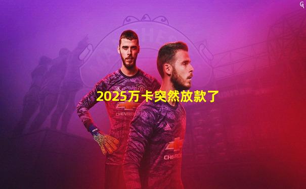 2025万卡突然放款了