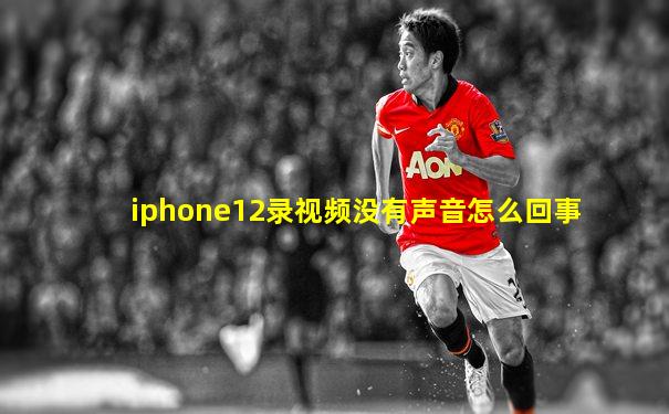 iphone12录视频没有声音怎么回事