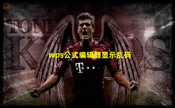 wps公式编辑器显示乱码
