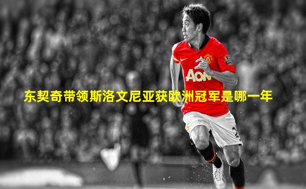 东契奇带领斯洛文尼亚获欧洲冠军是哪一年