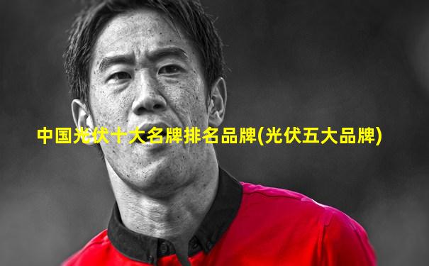 中国光伏十大名牌排名品牌(光伏五大品牌)