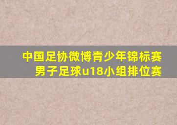 中国足协微博青少年锦标赛男子足球u18小组排位赛