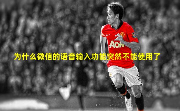 为什么微信的语音输入功能突然不能使用了