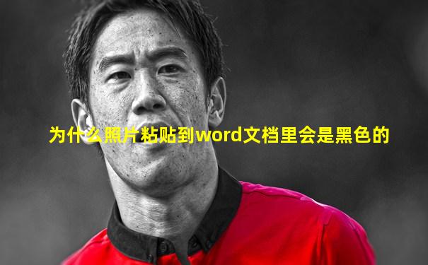 为什么照片粘贴到word文档里会是黑色的