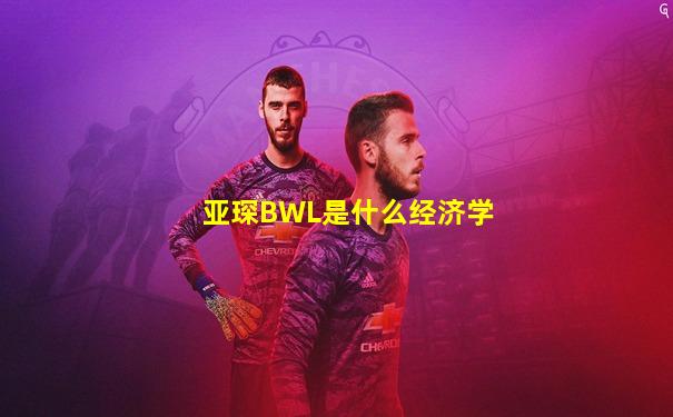 亚琛BWL是什么经济学