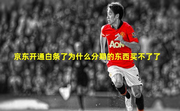 京东开通白条了为什么分期的东西买不了了