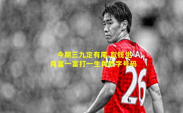 今期三九定有尾,取钱生肖富一富打一生肖数字号码
