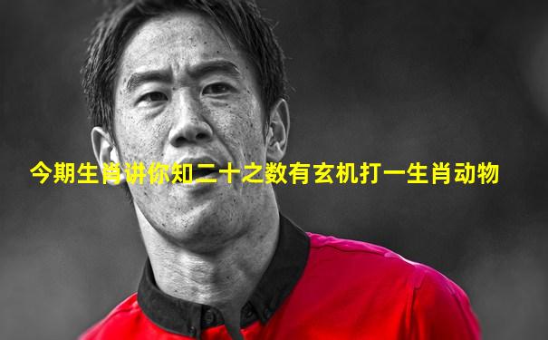 今期生肖讲你知二十之数有玄机打一生肖动物