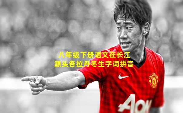八年级下册语文在长江源头各拉丹冬生字词拼音