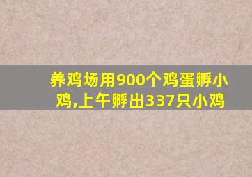 养鸡场用900个鸡蛋孵小鸡,上午孵出337只小鸡
