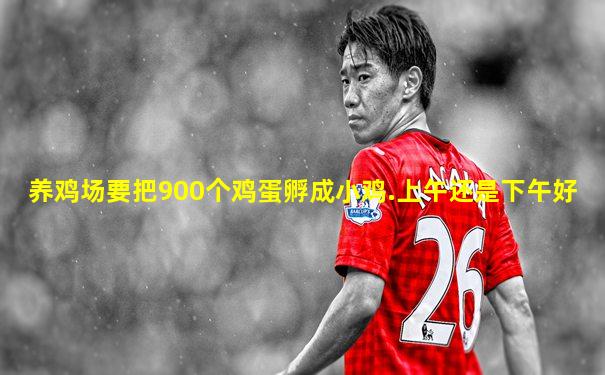 养鸡场要把900个鸡蛋孵成小鸡.上午还是下午好