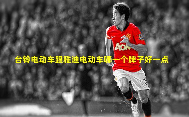 台铃电动车跟雅迪电动车哪一个牌子好一点