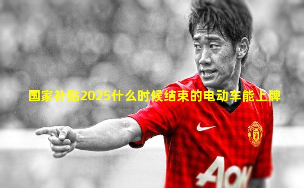 国家补贴2025什么时候结束的电动车能上牌