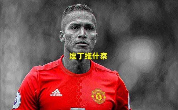 埃丁维什察