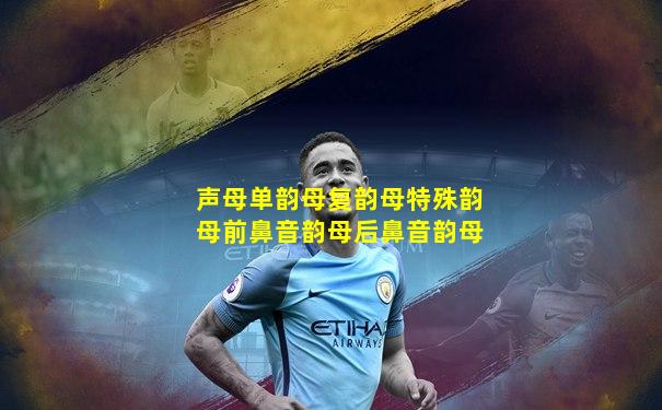 声母单韵母复韵母特殊韵母前鼻音韵母后鼻音韵母