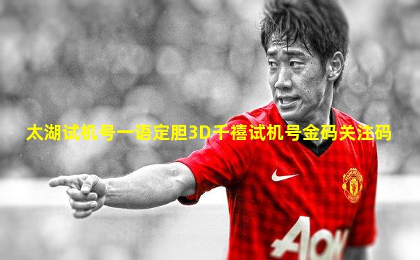 太湖试机号一语定胆3D千禧试机号金码关注码