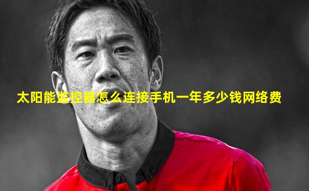 太阳能监控器怎么连接手机一年多少钱网络费