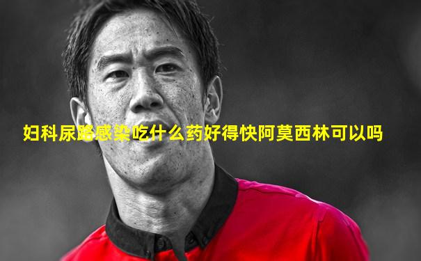 妇科尿路感染吃什么药好得快阿莫西林可以吗