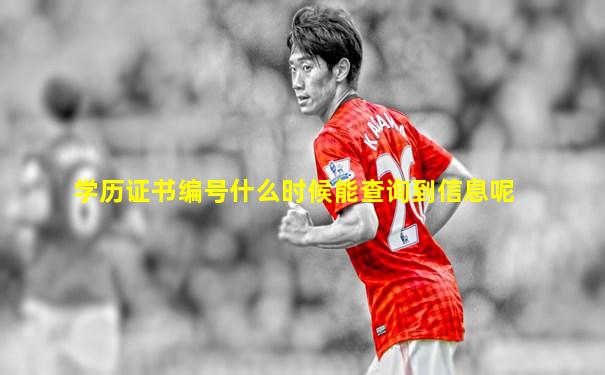 学历证书编号什么时候能查询到信息呢