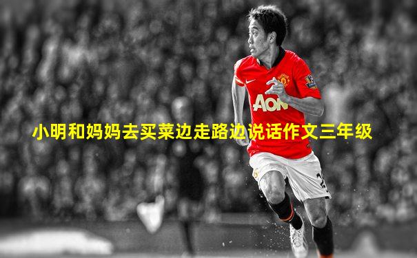 小明和妈妈去买菜边走路边说话作文三年级