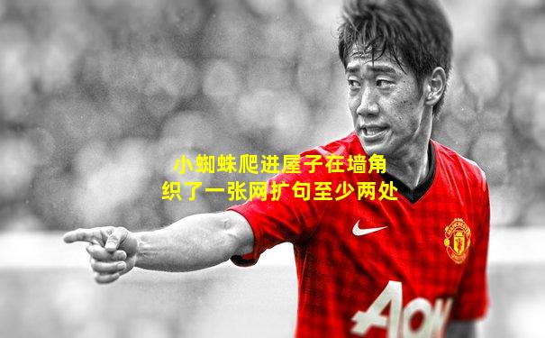 小蜘蛛爬进屋子在墙角织了一张网扩句至少两处