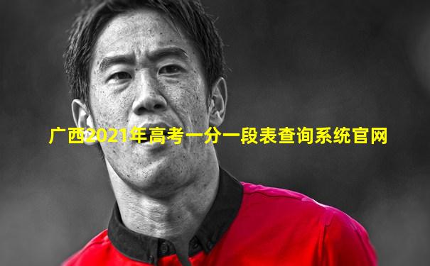 广西2021年高考一分一段表查询系统官网