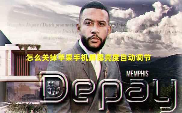 怎么关掉苹果手机屏幕亮度自动调节