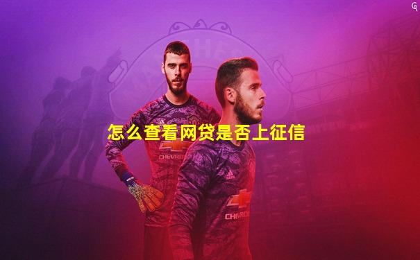 怎么查看网贷是否上征信