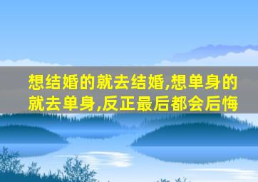 想结婚的就去结婚,想单身的就去单身,反正最后都会后悔