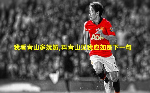 我看青山多妩媚,料青山见我应如是下一句