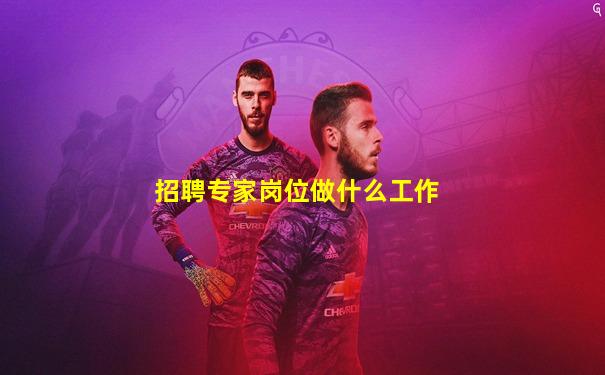 招聘专家岗位做什么工作