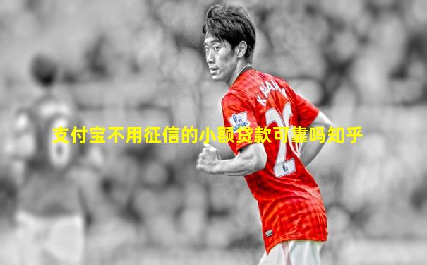 支付宝不用征信的小额贷款可靠吗知乎