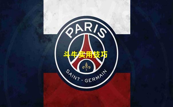 斗牛实用技巧