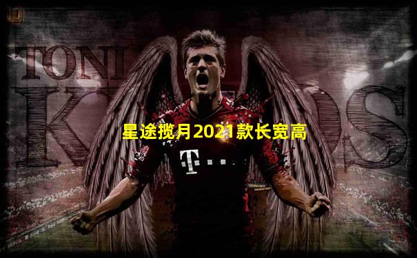 星途揽月2021款长宽高