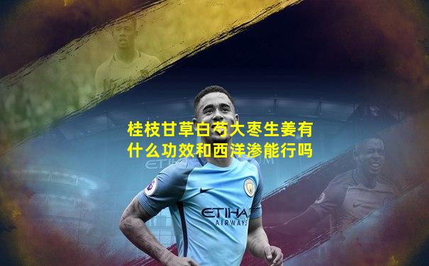 桂枝甘草白芍大枣生姜有什么功效和西洋渗能行吗