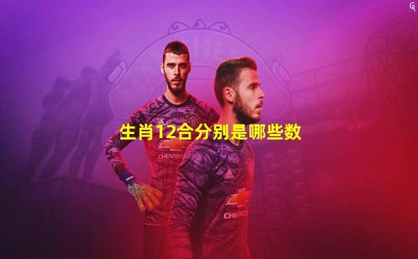 生肖12合分别是哪些数