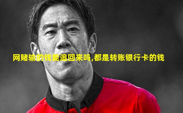 网赌输的钱能追回来吗,都是转账银行卡的钱