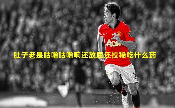 肚子老是咕噜咕噜响还放屁还拉稀吃什么药