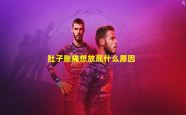 肚子胀痛想放屁什么原因