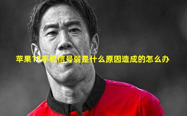 苹果13手机信号弱是什么原因造成的怎么办