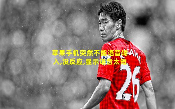 苹果手机突然不能语音输入,没反应,显示语音太短