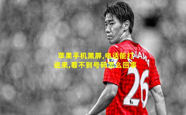 苹果手机黑屏,电话能打进来,看不到号码怎么回事